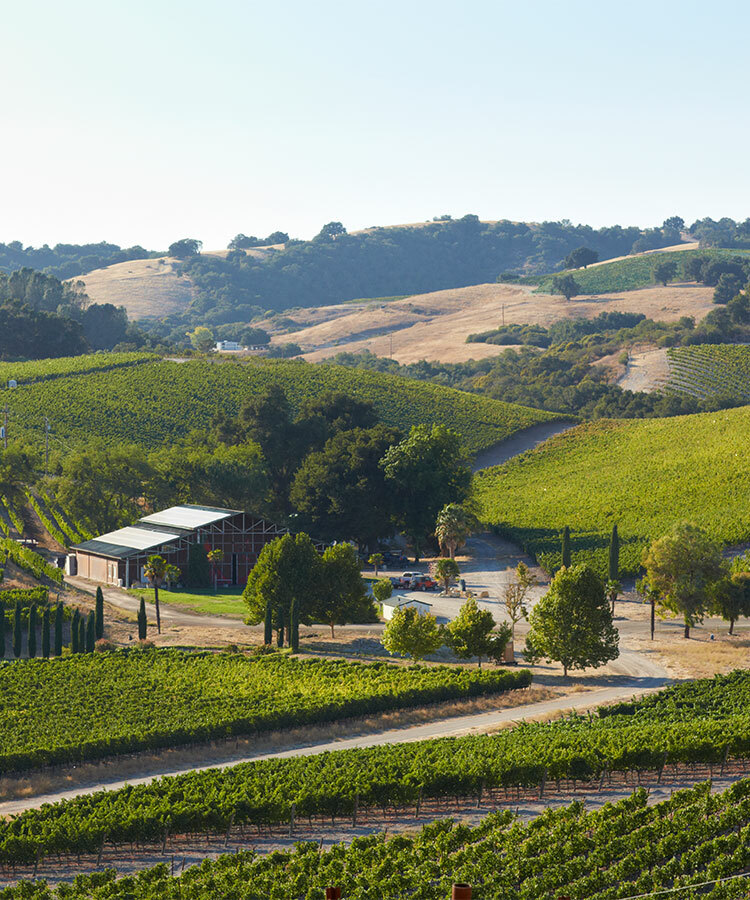 Pasorobles Vine Pair