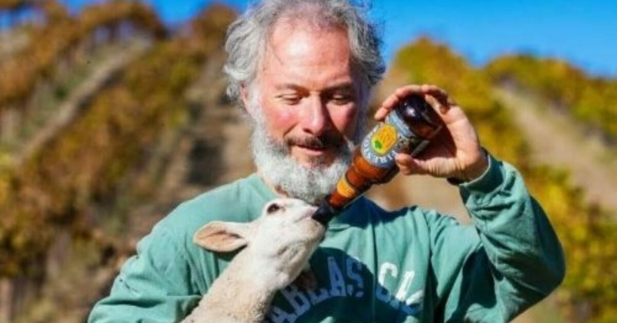 FamilyFriendly Exploration of Regenerative Farming at… Tablas Creek