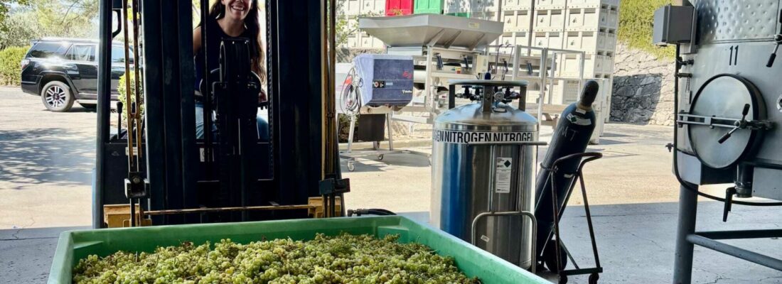 First bin of Viognier on the forklift