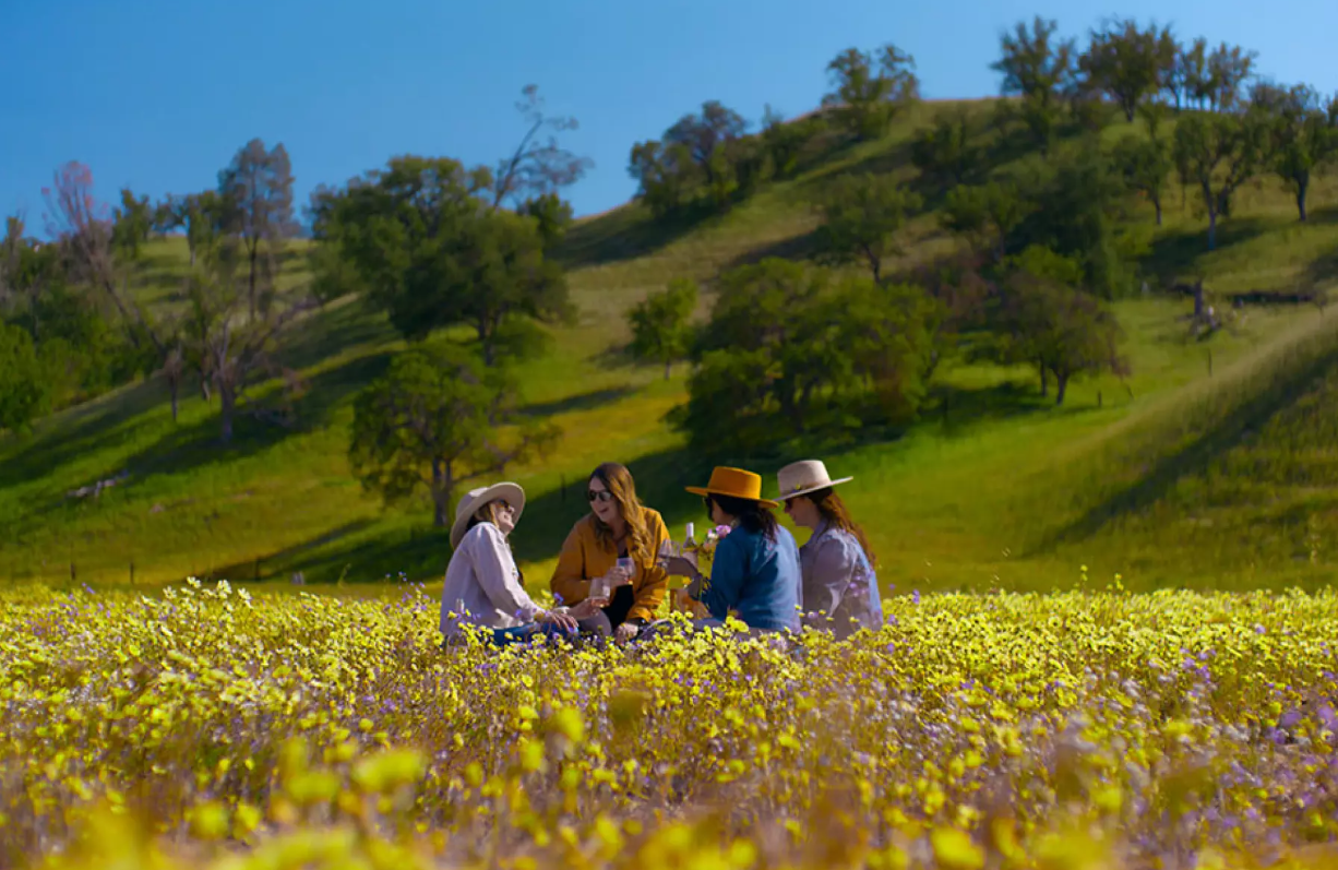 LA Times Article featuring Paso Robles