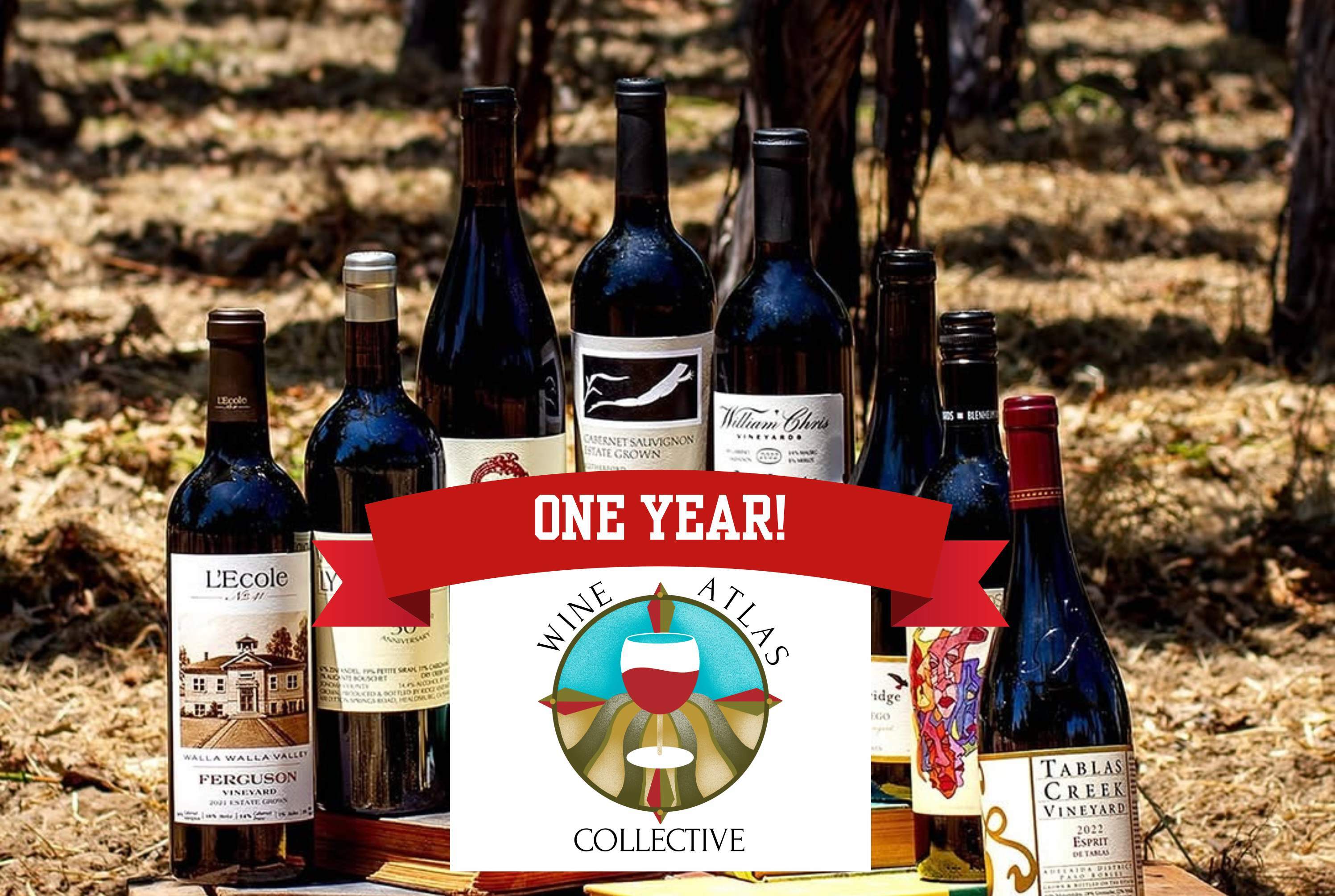 One year anniversary of the Wine Atlas Collective