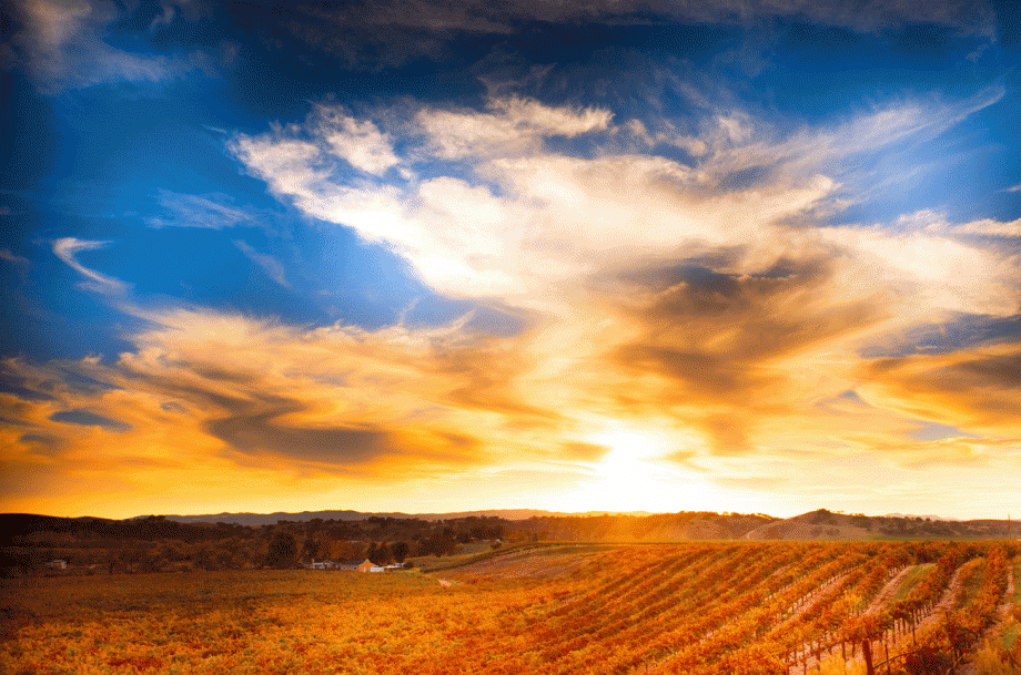 Paso Robles sunset 920x609 Decanter