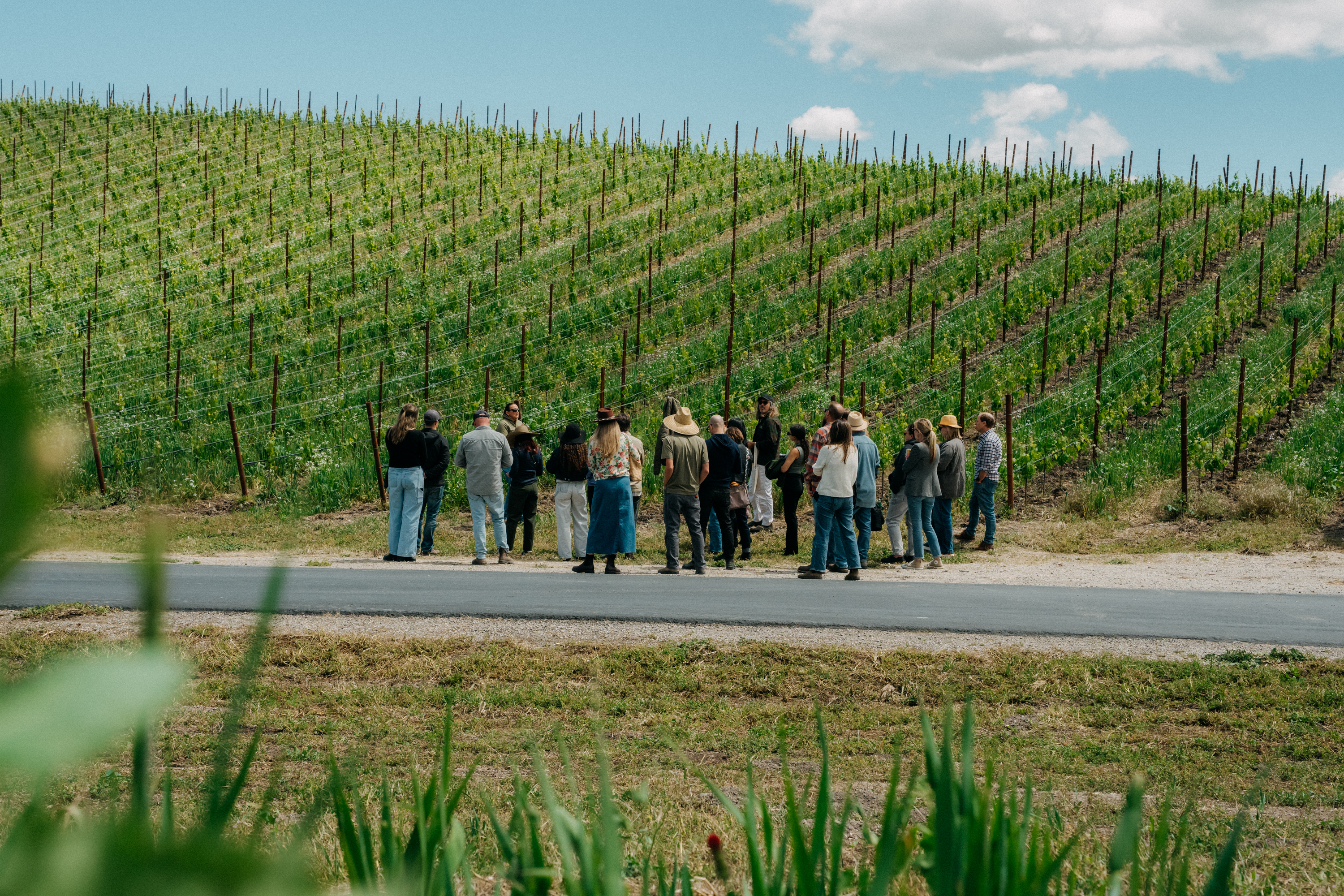 Paso Wine RO Cs Media Tour 2026 at Booker Vineyard