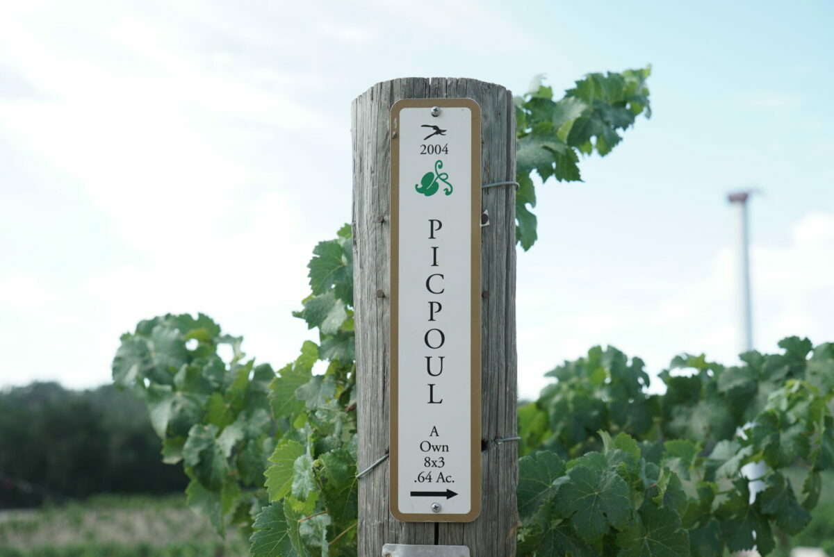 Picpoul Blanc Sign Post