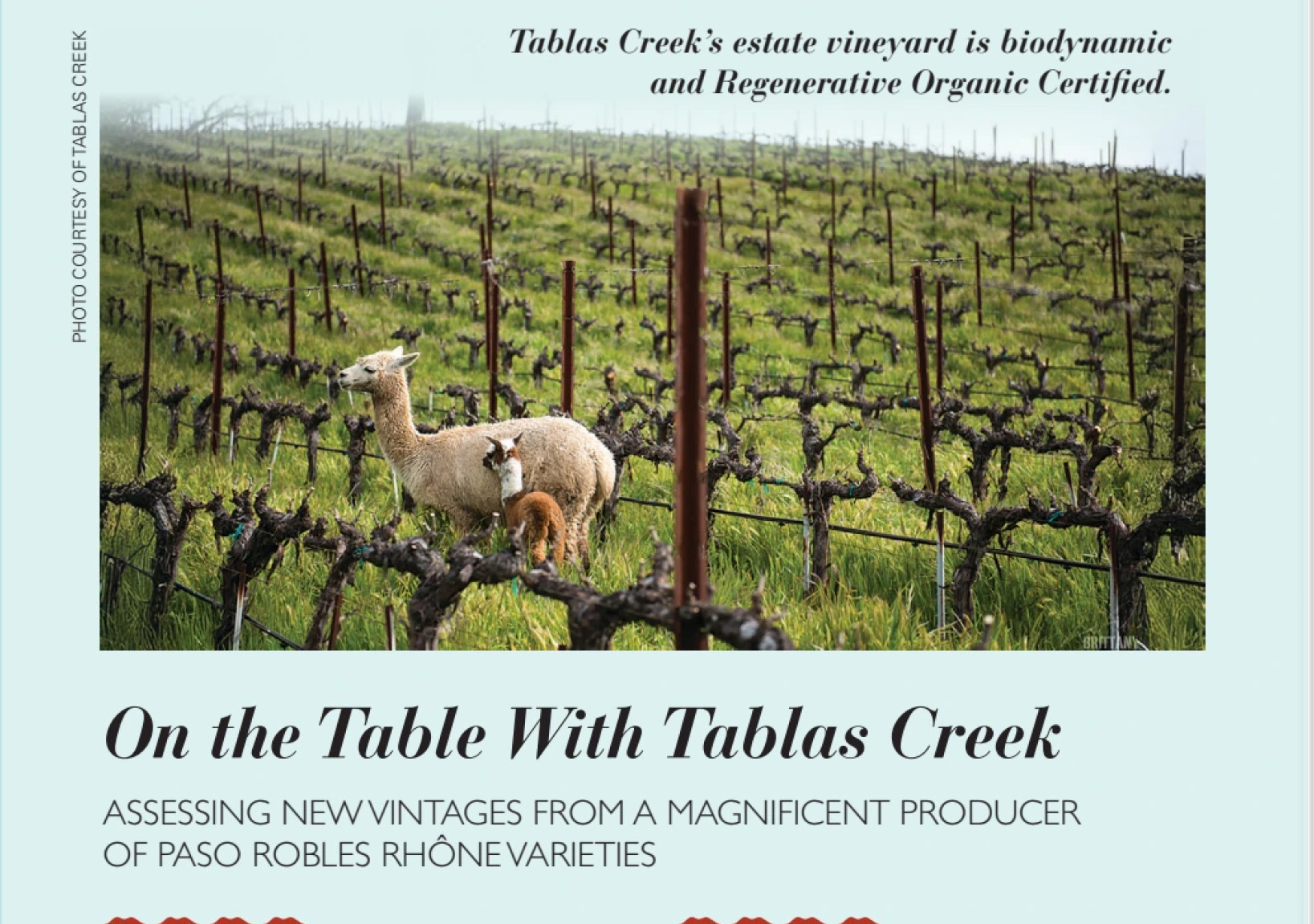 Tasting Panel Winter 2026