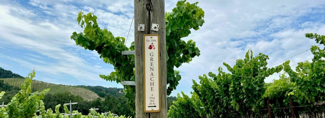 Grenache 1994 End Post View