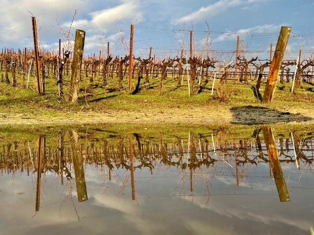 Puddle mirror image