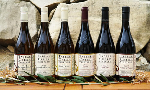 Club Member for a Day