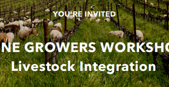 Winegrowers Workshop