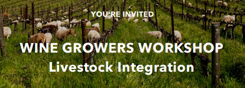 Winegrowers Workshop