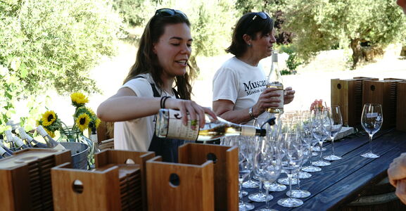 Kaitlyn pouring wine