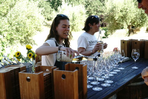 Kaitlyn pouring wine