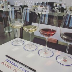Central Coast Wine School