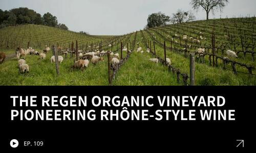 109 The Regenerative Organic Vineyard Pioneering Rhône Style Wine