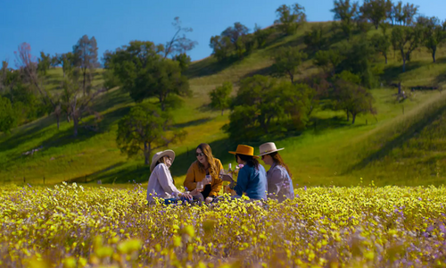 LA Times Article featuring Paso Robles