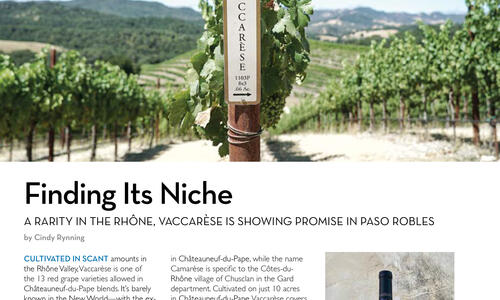 Somm Journal article on Vaccarese