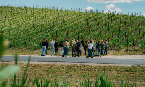 Paso Wine RO Cs Media Tour 2026 at Booker Vineyard