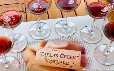 Top 12 wineries 2026
