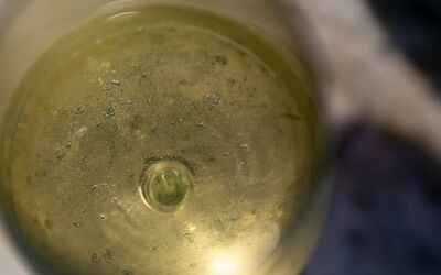 Decanter White Wine Article