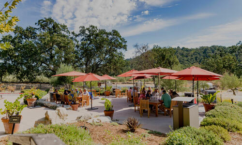 Tablas Creek Patio in the Fall