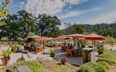 Tablas Creek Patio in the Fall