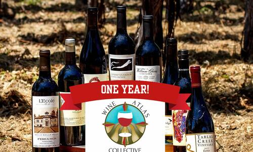 One year anniversary of the Wine Atlas Collective