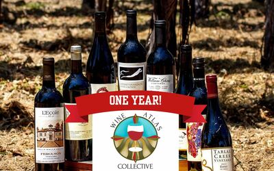 One year anniversary of the Wine Atlas Collective