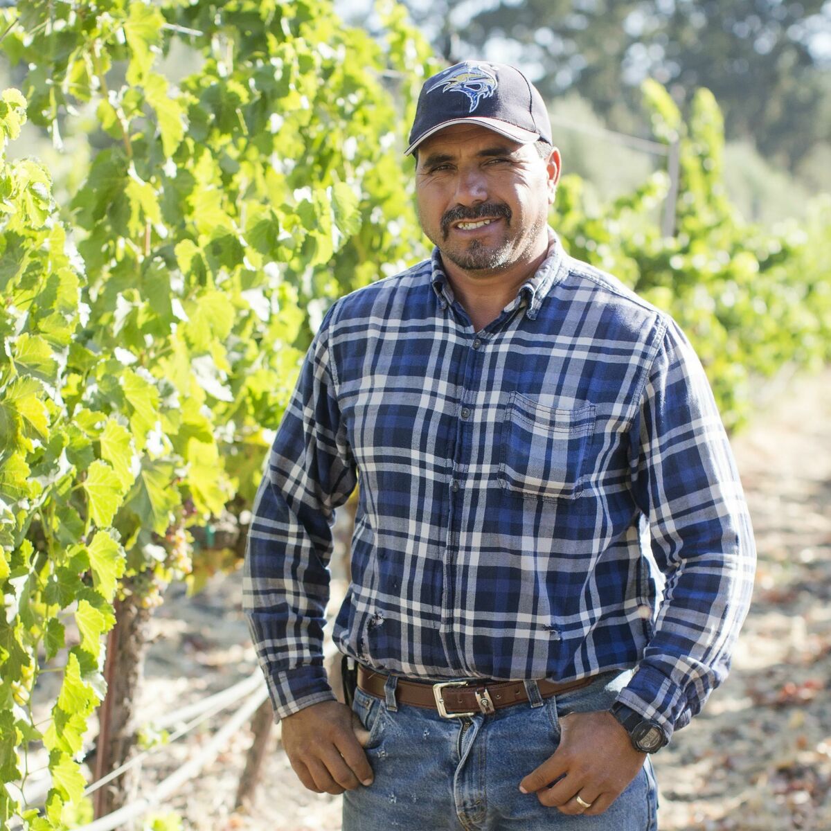 Tablas Creek Team Tablas Creek