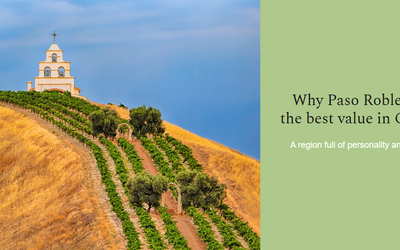 Decanter Paso Robles Best Value