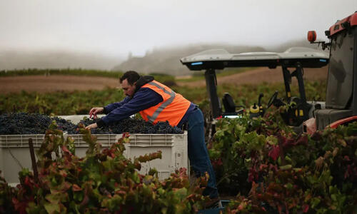 SF Chronicle Cover Photo