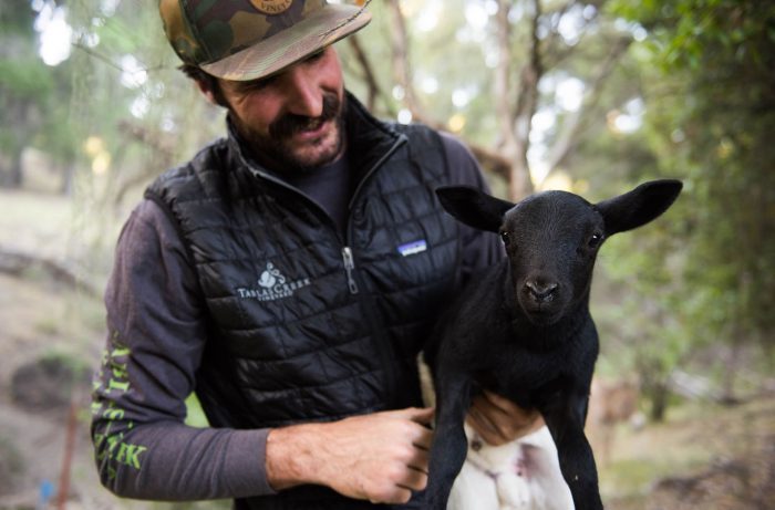 Shepherd Nathan Stuart Holding A Lamb