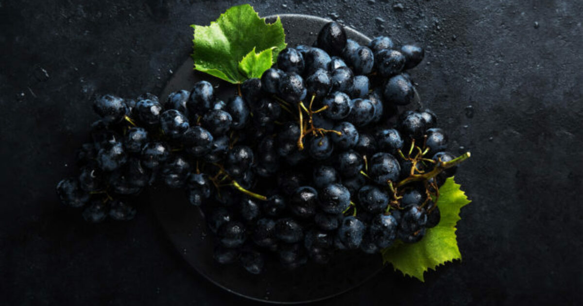 Tannat, the Dark Prince of Paso Robles Wine Tablas Creek