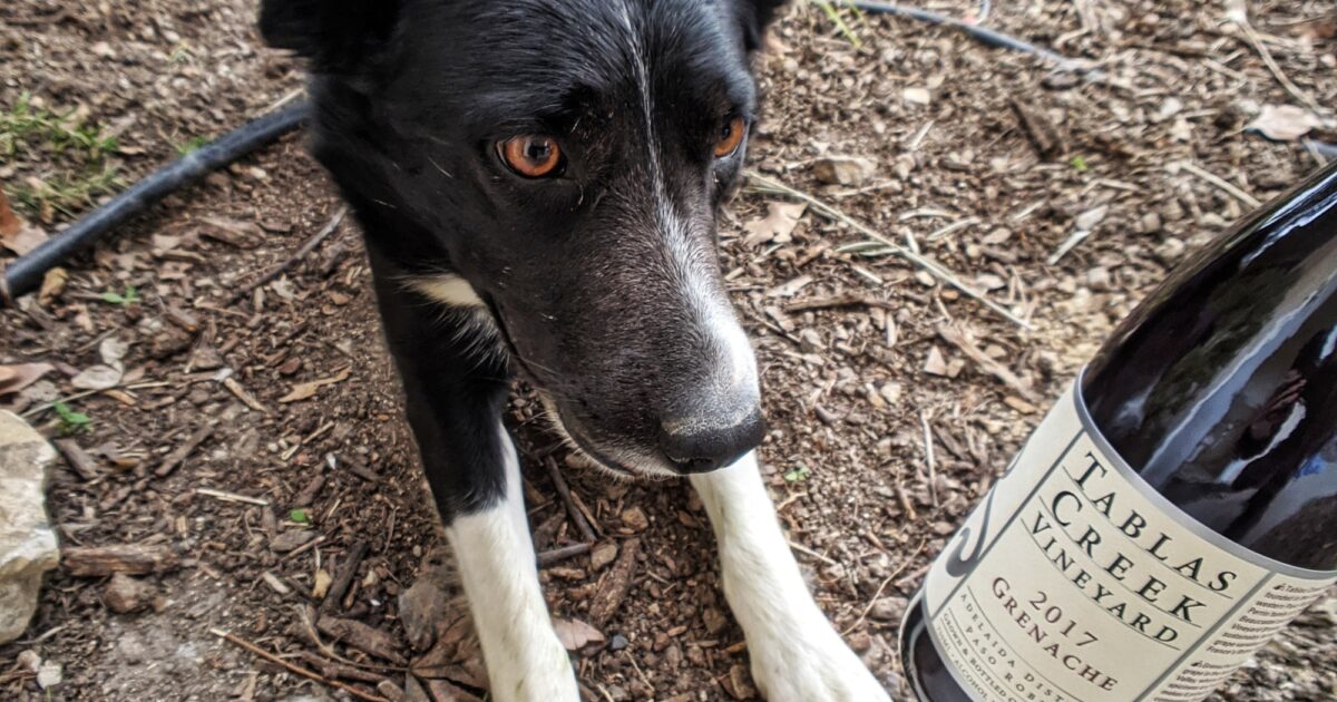 2018 Grenache Tablas Creek