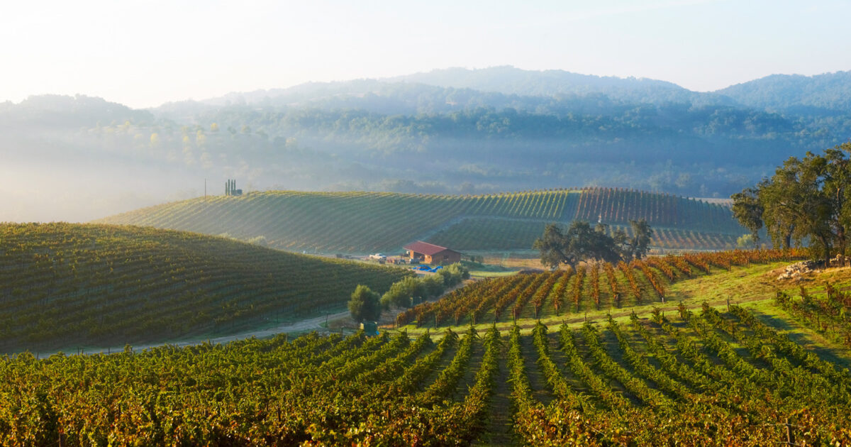 "6 of the Best Wineries in Paso Robles, California" on… Tablas Creek